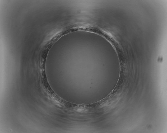 X0000091061399200708131119
