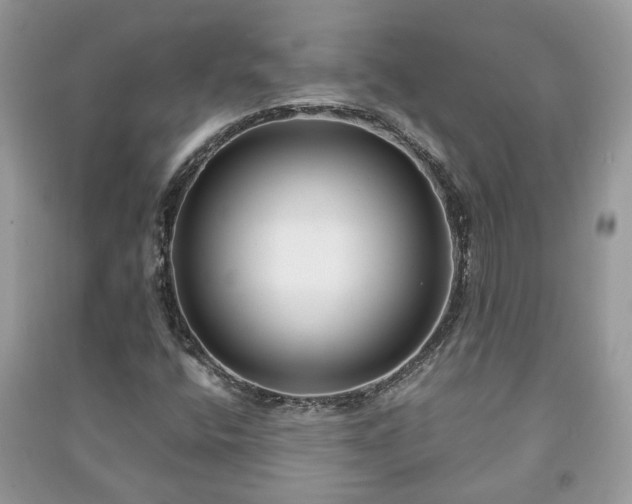 X0000091061400200708131119