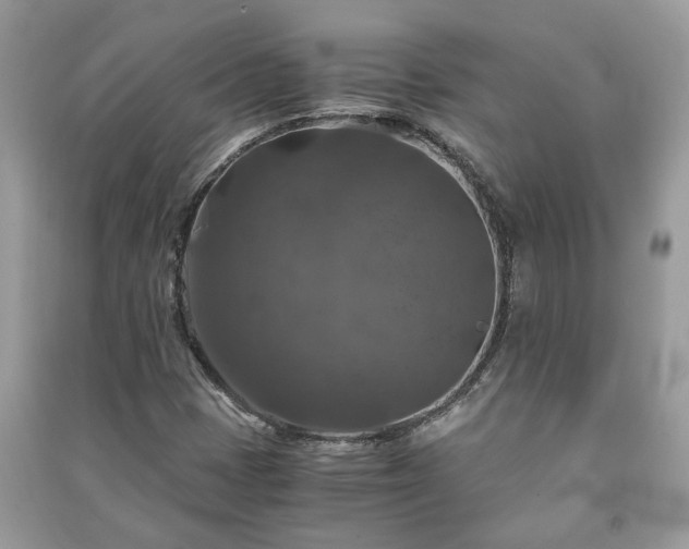 X0000091061401200708131119