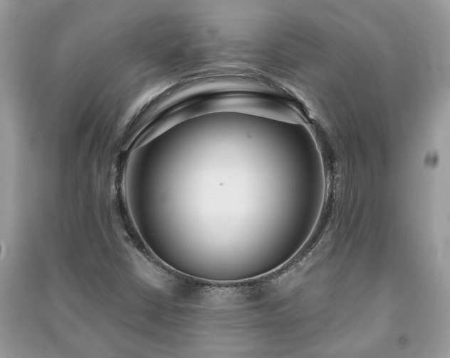 X0000091061402200708131119