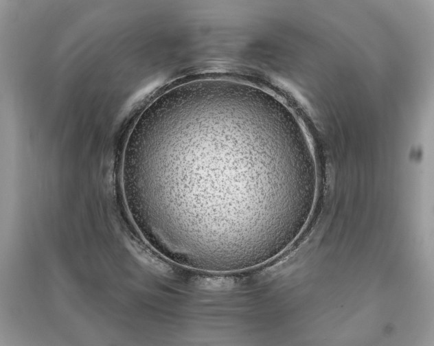 X0000091061403200708131119