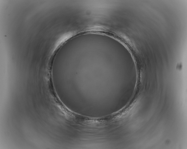 X0000091061405200708131119