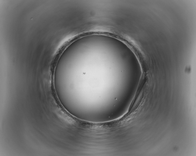 X0000091061408200708131119