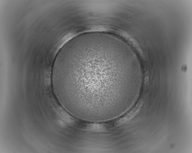 X0000091061409200708131119