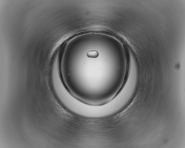 X0000091061410200708131119