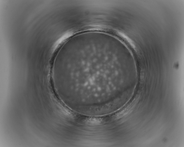 X0000091061411200708131119