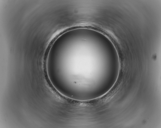 X0000091061412200708131119