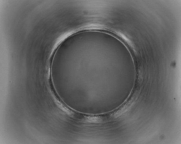X0000091061413200708131119