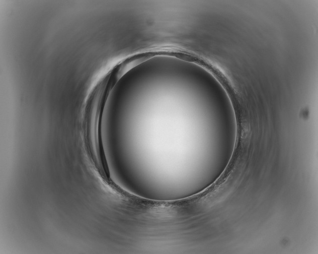 X0000091061414200708131120