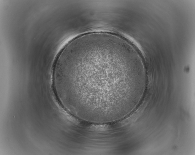 X0000091061415200708131120