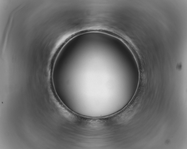 X0000091061416200708131120
