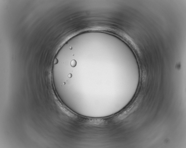 X0000091061417200708131120