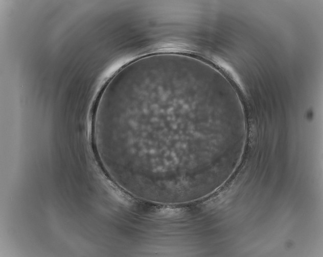 X0000091061419200708131120