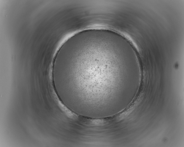 X0000091061421200708131120