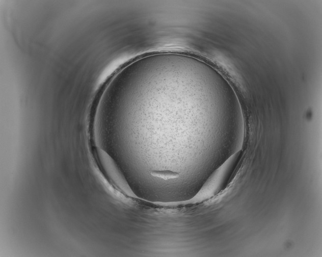 X0000091061422200708131120