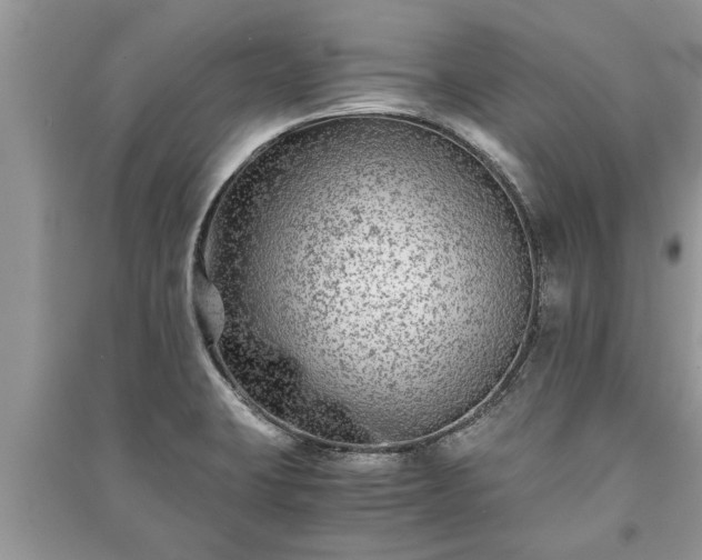 X0000091061423200708131120
