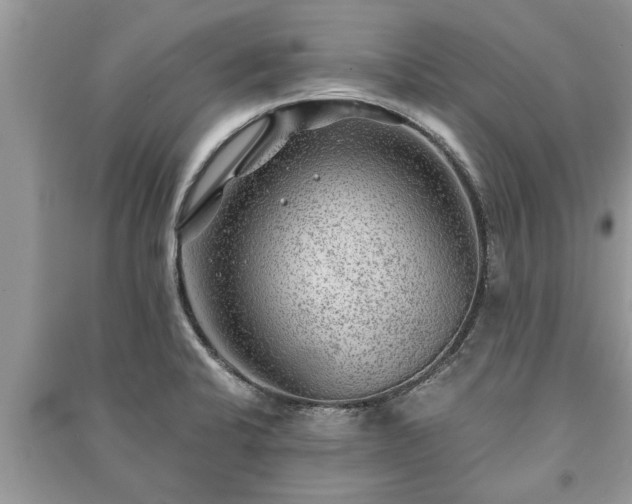 X0000091061424200708131120