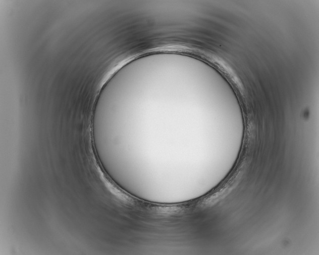X0000091061425200708131120
