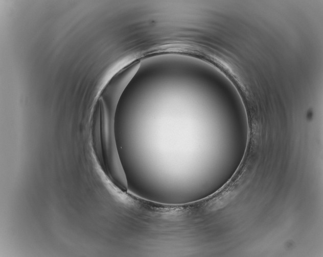 X0000091061426200708131120