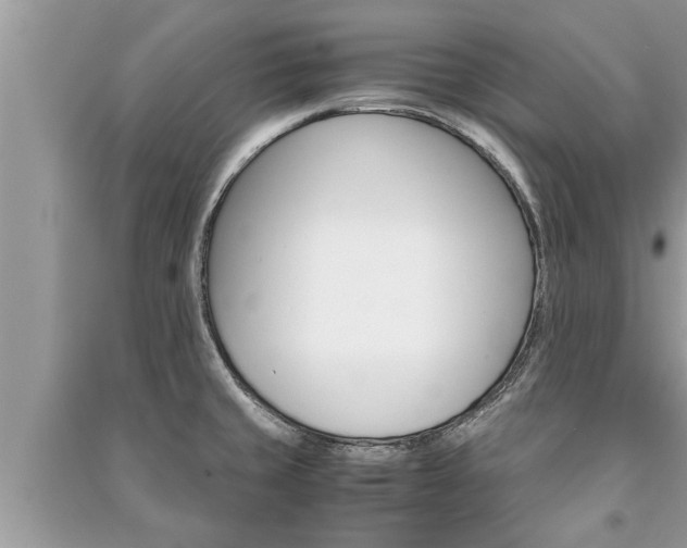 X0000091061429200708131120