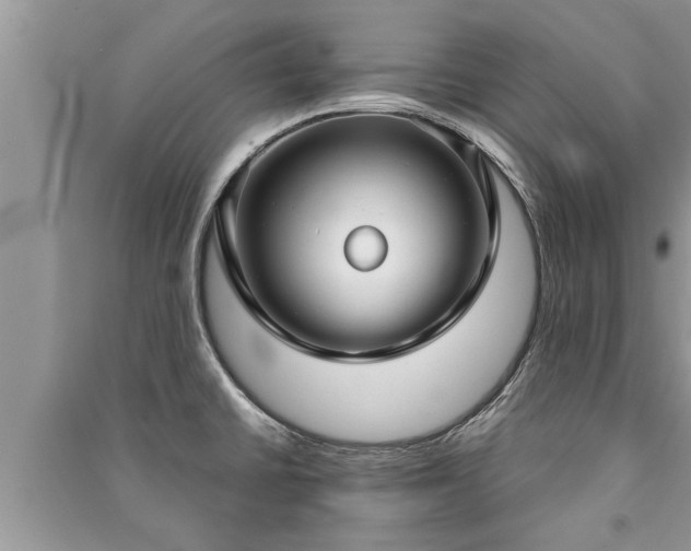X0000091061430200708131120