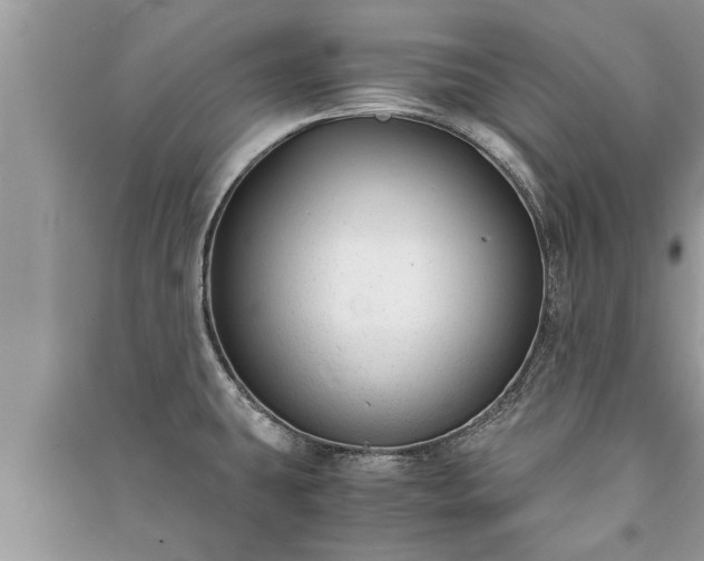 X0000091061431200708131120