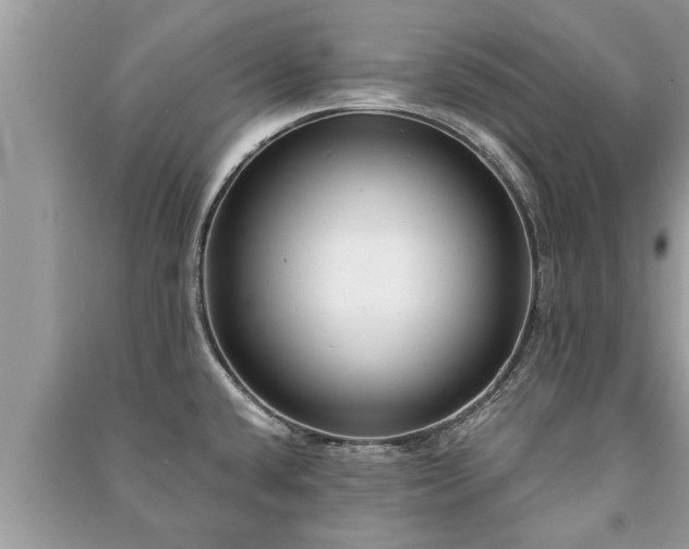 X0000091061432200708131120