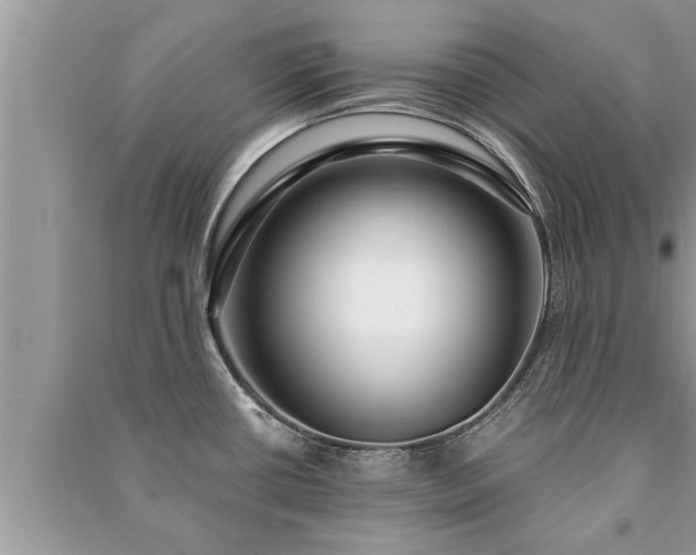 X0000091061434200708131120