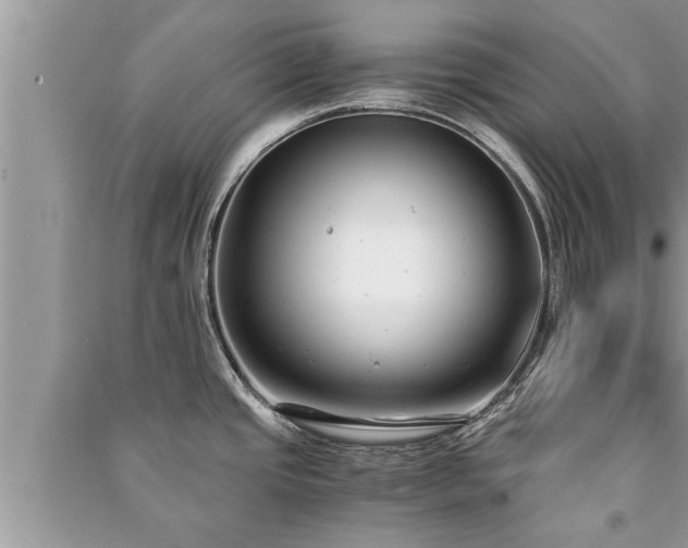 X0000091061437200708131120