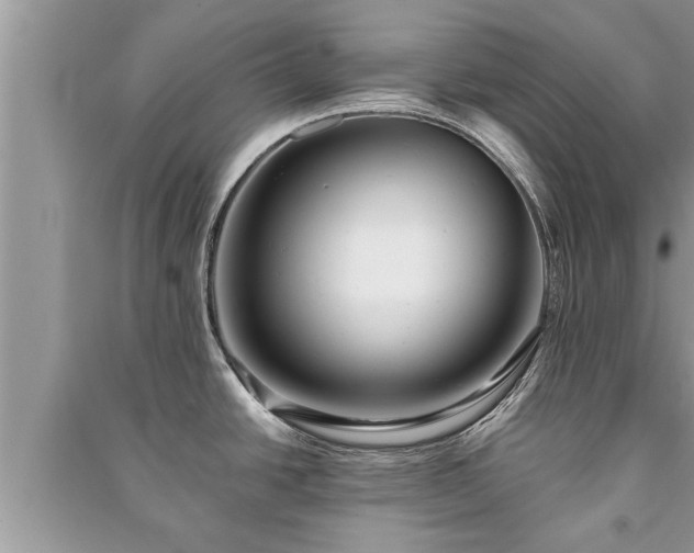 X0000091061438200708131120