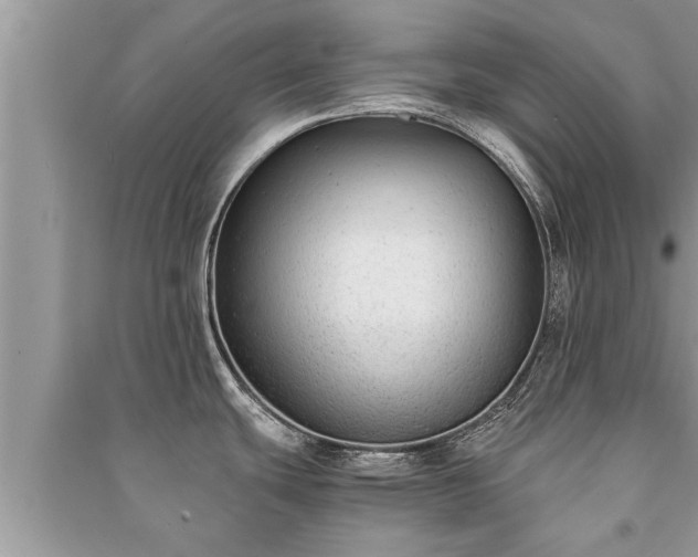 X0000091061439200708131120