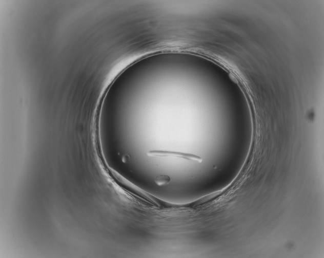 X0000091061440200708131120