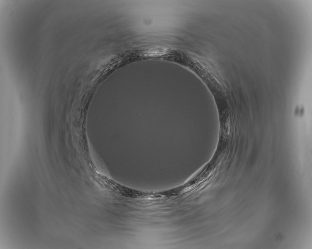 X0000091061441200708131119