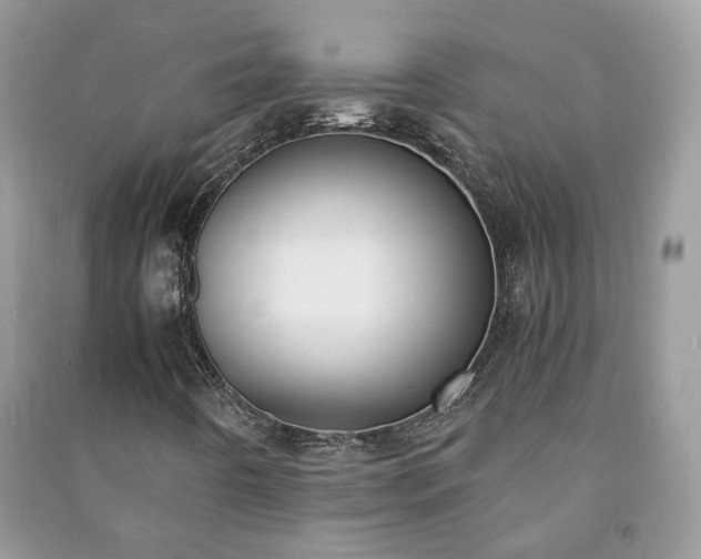 X0000091061442200708131119