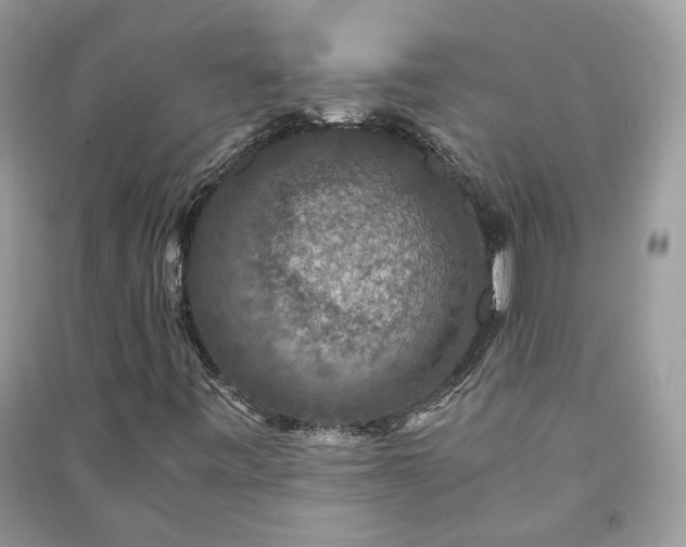 X0000091061443200708131119