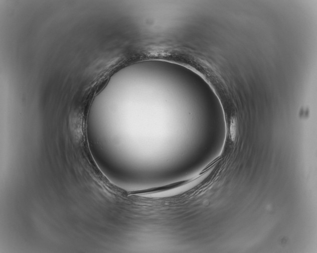 X0000091061444200708131119