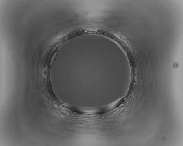 X0000091061445200708131119