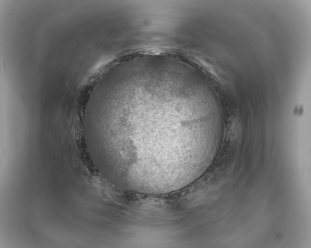 X0000091061446200708131119