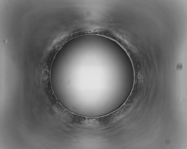 X0000091061447200708131119