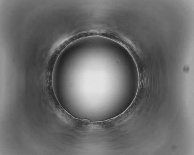 X0000091061448200708131119