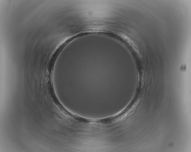 X0000091061449200708131119