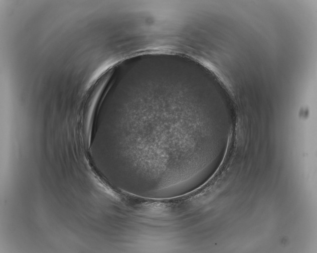 X0000091061450200708131119