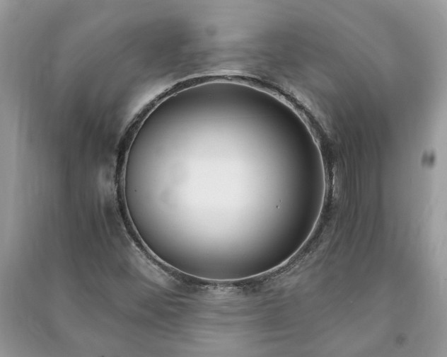 X0000091061452200708131119