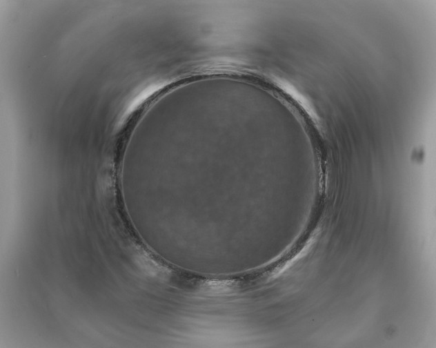 X0000091061453200708131119
