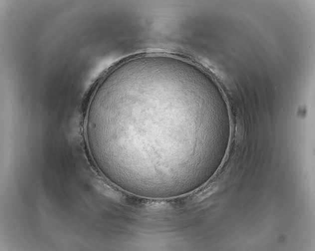 X0000091061454200708131119