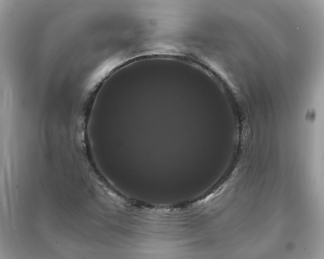 X0000091061455200708131119