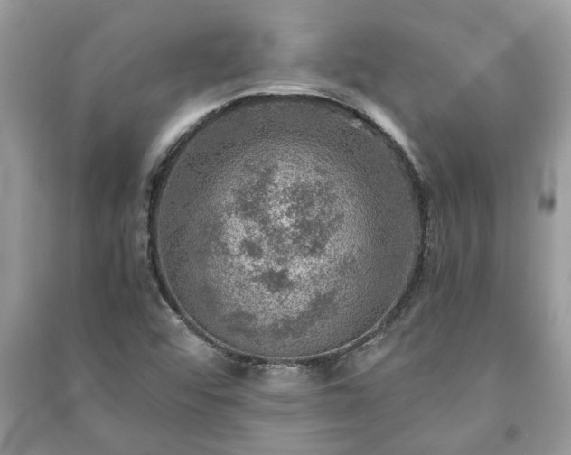X0000091061456200708131119