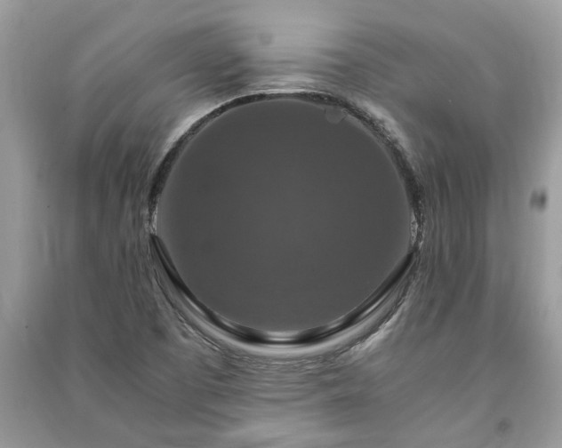 X0000091061457200708131119