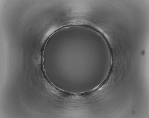 X0000091061459200708131119