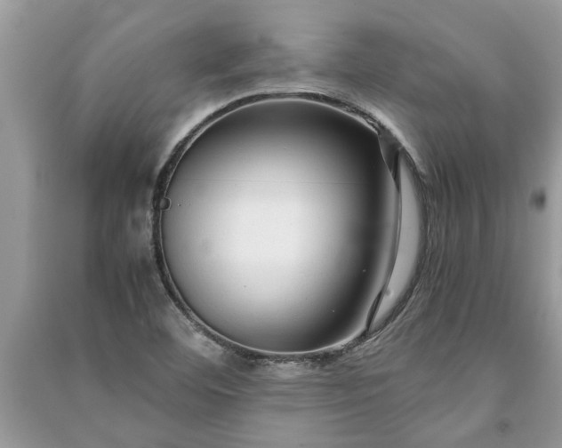 X0000091061460200708131119